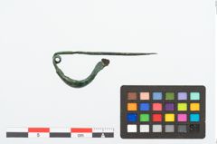 Foto von Bronzekahnfibel (NHMW-PRAE-025337)